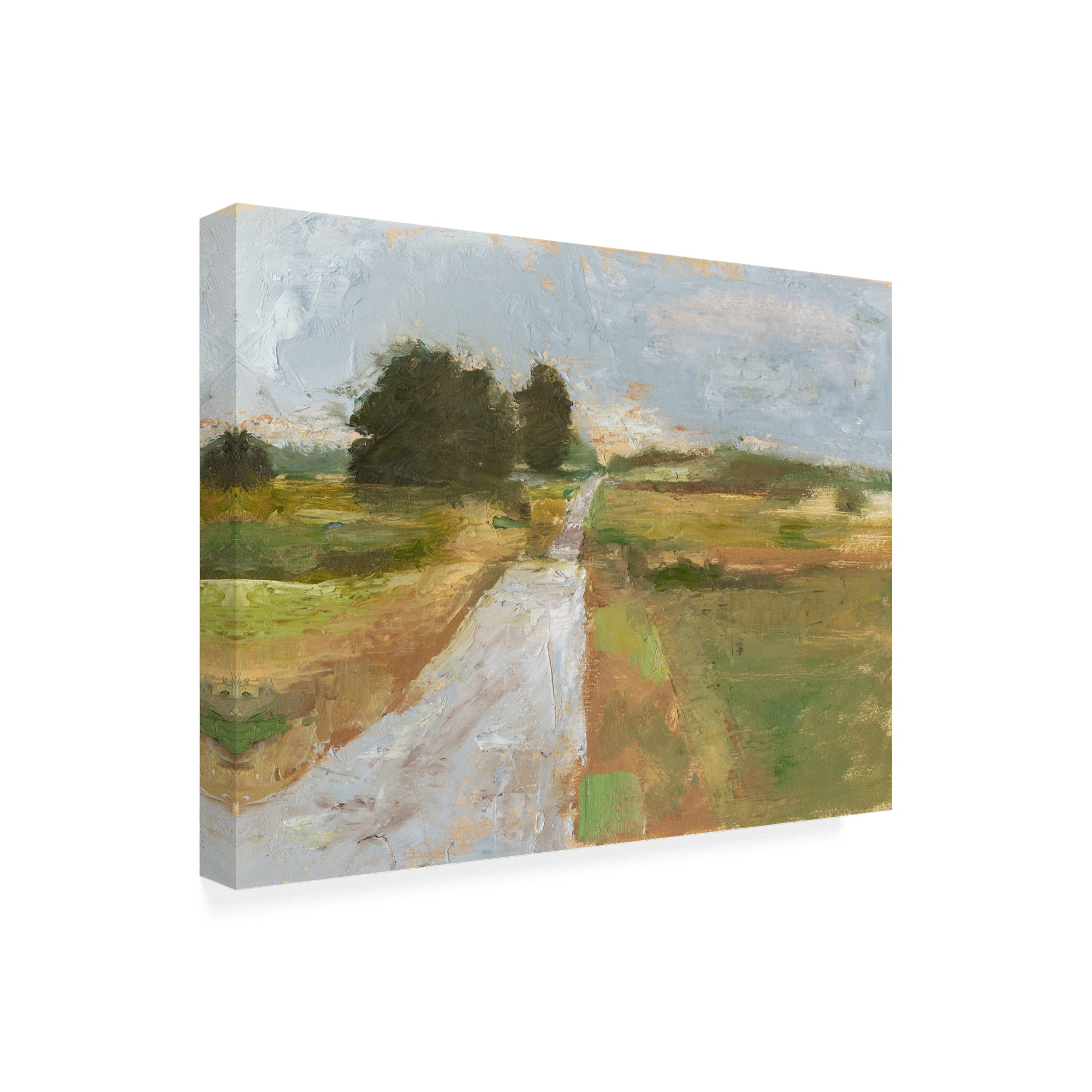 Trademark Fine Art 'Back Country Road I' Canvas Art by Ethan Harper