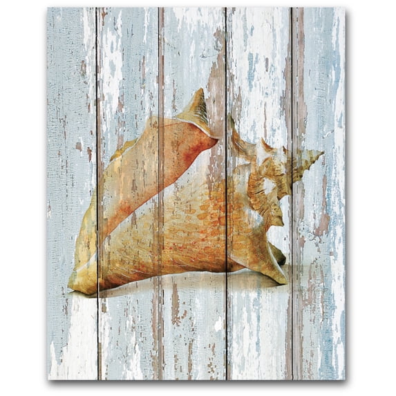 Ocean Seashell Gallery-Wrapped Canvas Wall Art