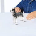 thumbnail image 1 of Figuras de perro realistas, juguetes de Husky, decoración del hogar, figuritas de animales, juguetes de animales para regalo, juguetes de cumpleaños, 1 of 8