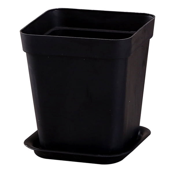 Zhuge 10 piezas con bandeja de plástico engrosada, maceta cuadrada para plantas suculentas, maceta rectangular negra para plántulas, maceta para plantas suculentas, 7 * 7 cm