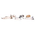 thumbnail image 1 of Mini figuras de gatos NikouMX 6 piezas juguete plástico multifuncional, 1 of 8