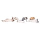 thumbnail image 2 of Gatos en miniatura, 6 piezas Mini figuras de gatos Mini figuras de gatos Figuras de gatos pequeñas optimizadas para la excelencia, 2 of 9