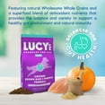 thumbnail image 3 of Lucy Pet Products Formula for Life L.I.D. Dry Dog Food, Chicken, Brown Rice & Pumpkin, 1 Each/4.5 lb, 3 of 5