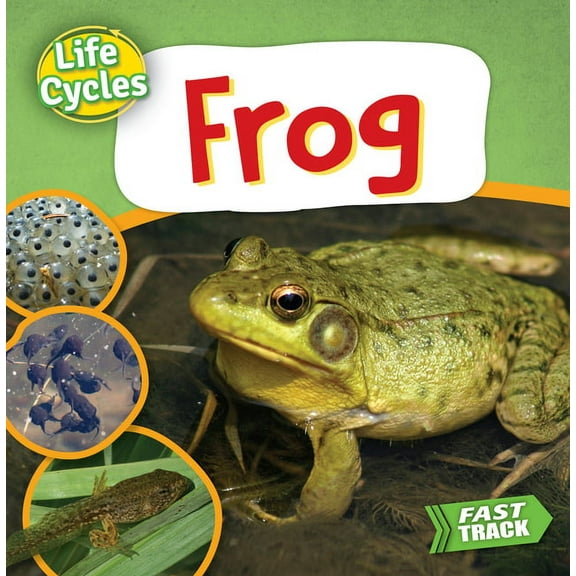 Life Cycles Frog, (Paperback)