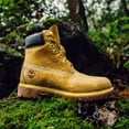thumbnail image 2 of Bota Timberland Premium de 6 pulgadas, impermeable, color trigo, para hombre, 8 m, 2 of 9