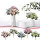 thumbnail image 1 of Hojas Peludas De La Planta Lu Lian Ramo de rosas artificiales de seda,realista,de tela y plástico,para decoración de bodas y hogar (1 pieza) Rkxzt, 1 of 9