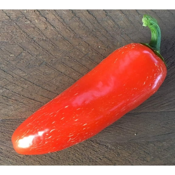 Sherwood's Seeds Premium 10 Orange Spice Jalapeno Pepper Plant Seeds, Heirloom Peppers