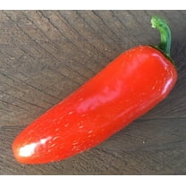 Sherwood's Seeds Premium 10 Orange Spice Jalapeno Pepper Plant Seeds, Heirloom Peppers