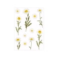 thumbnail image 1 of Bearachild Pegatinas de plantas de margaritas resistentes a la decoloración para álbum de recortes, pegatinas transparentes para mascotas, cartulina No.01, 1 of 6