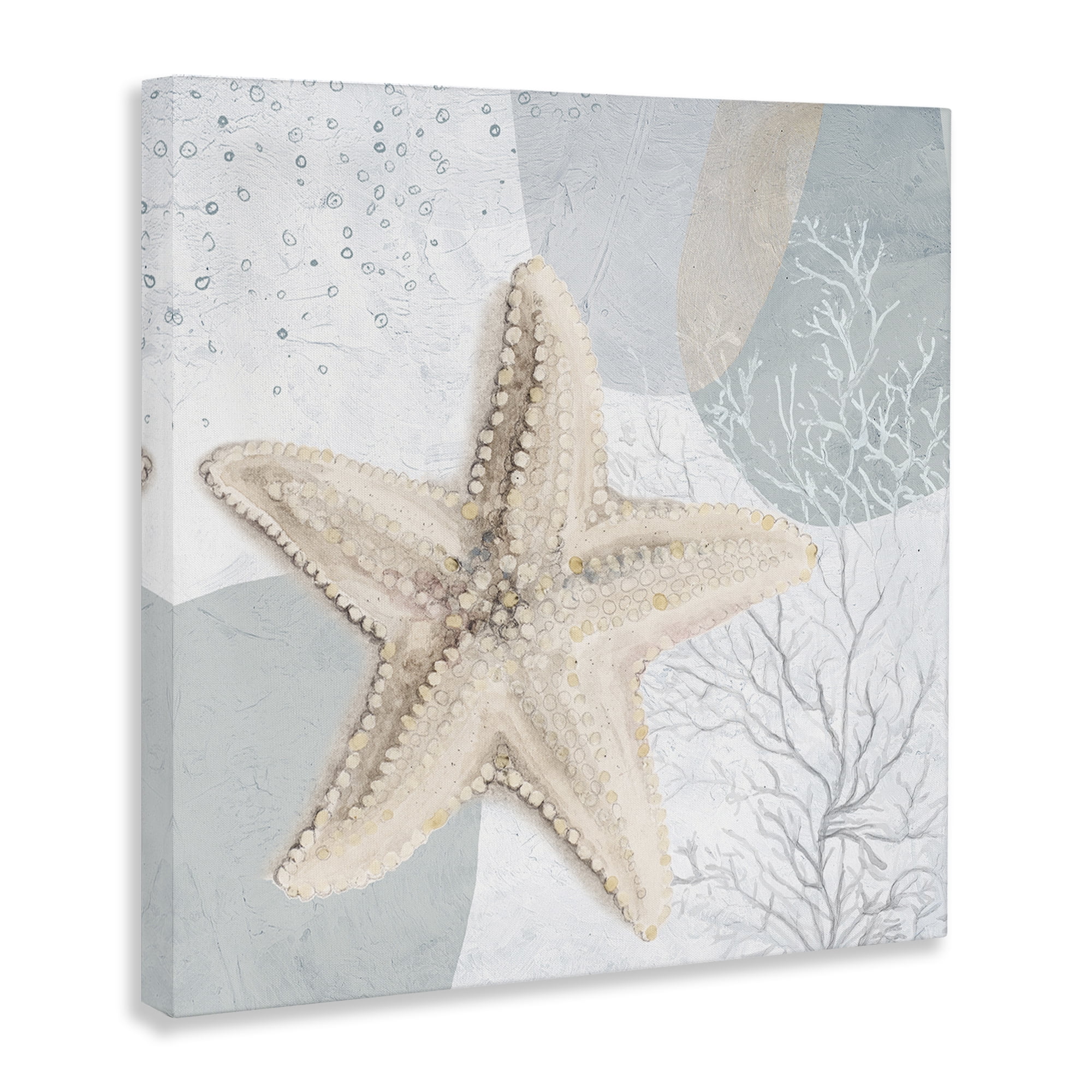 Stupell Industries Starfish over Circle Pattern Coastal Painting Gallery Wrapped Canvas Art Print Wall Art, 17 x 17