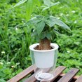 thumbnail image 4 of Lazy Flowerpot Self Watering Planter with Water-absorbing Cotton Rope Breathable Drainage Flower Pot for Indoor Plants, 4 of 8