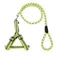 thumbnail image 4 of Pet Dog Collar Traction Rope High Quality Outdoor Anti-lost Nylon Ropes Training Leash Slip Lead Strap Collar, 4 of 8