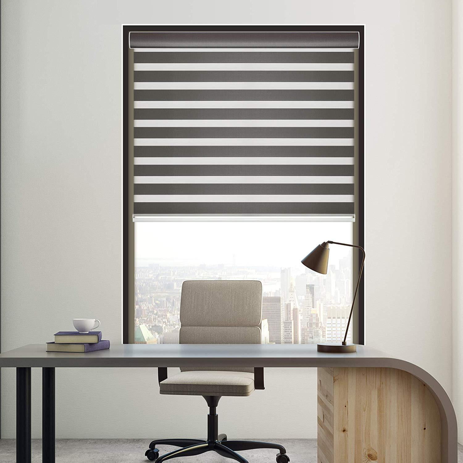 CHICOLOGY Dual Layer & Privacy Free-Stop Cordless Zebra Roller Shades 