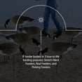 thumbnail image 4 of Avian X AXP Honkers Fusion Canada Goose Decoy Feeder Bodies, Set of 18, 4 of 11