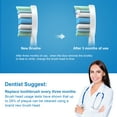 thumbnail image 5 of Electric Toothbrush Replacement Heads Compatible with All Click-on Handles,8 Pack, 5 of 9