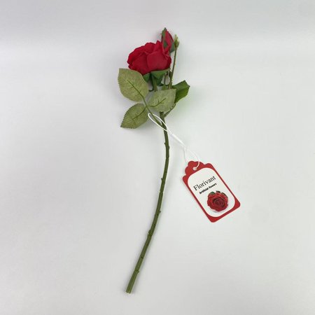 Florivant Artificial flowers Preserved Rose Preserved Flowers for Delivery Single Rose Flower Gifts for Women Real Rose Gifts for Her Birthday Gifts Valentines Flowers for Girlfriend - Red