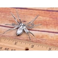 thumbnail image 5 of Silvery Tone Clear Crystal Colored Rhinestones Black Creepy Spider Bug Brooch Pin, 5 of 5