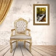 thumbnail image 3 of OBrien, Jay 22x32 Gold Ornate Wood Framed with Double Matting Museum Art Print Titled - North Carolina, Brevard Landscape in Pisgah NF, 3 of 4