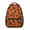 Leopard Print-1, variant on Leopard Print Backpack for School,Cute School Bag,Schoolbag with Adjustable Shoulder Straps & Padded Back,15.3"x11"x6.7"
