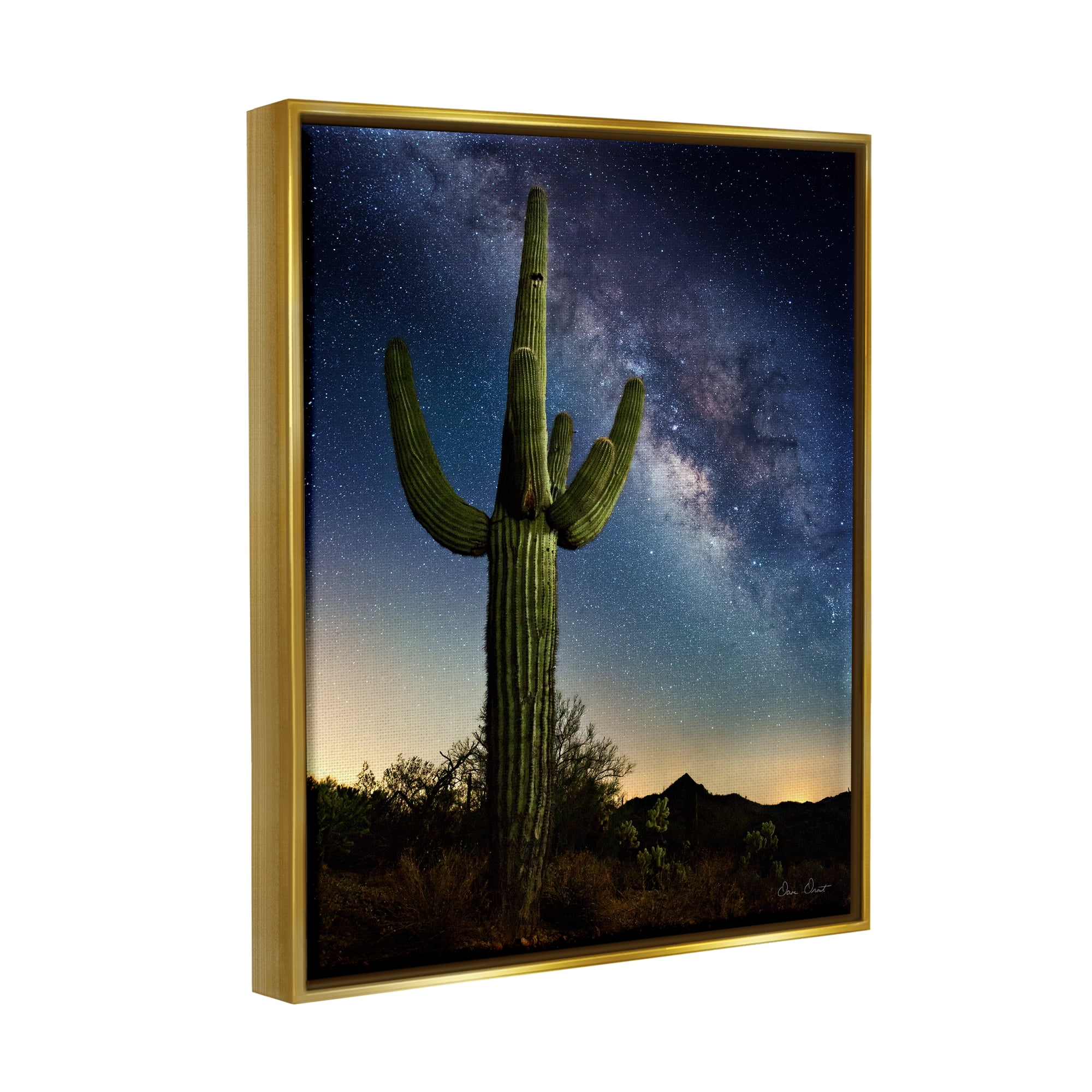 Stupell Industries Cactus & Nebula Photography Fairy Tales & Fantasy Photography Gold Floater Framed Art Print Wall Art, 25 x 31