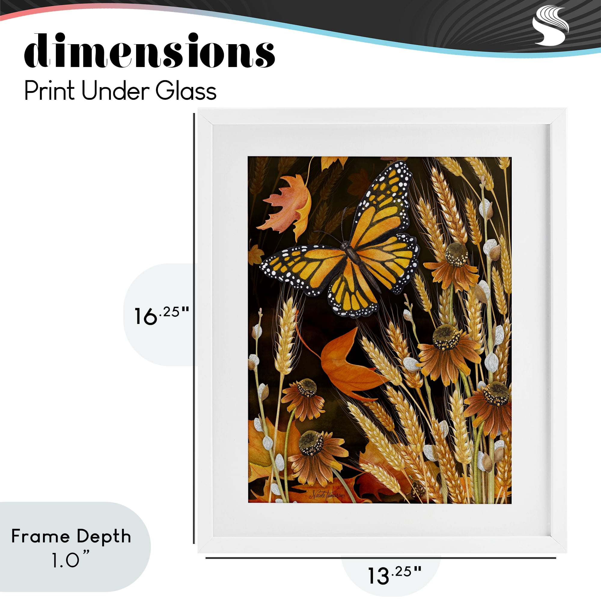 Stupell Industries Fall Motif Midnight Garden White Framed Print Under Glass, design by Nicole Tamarin