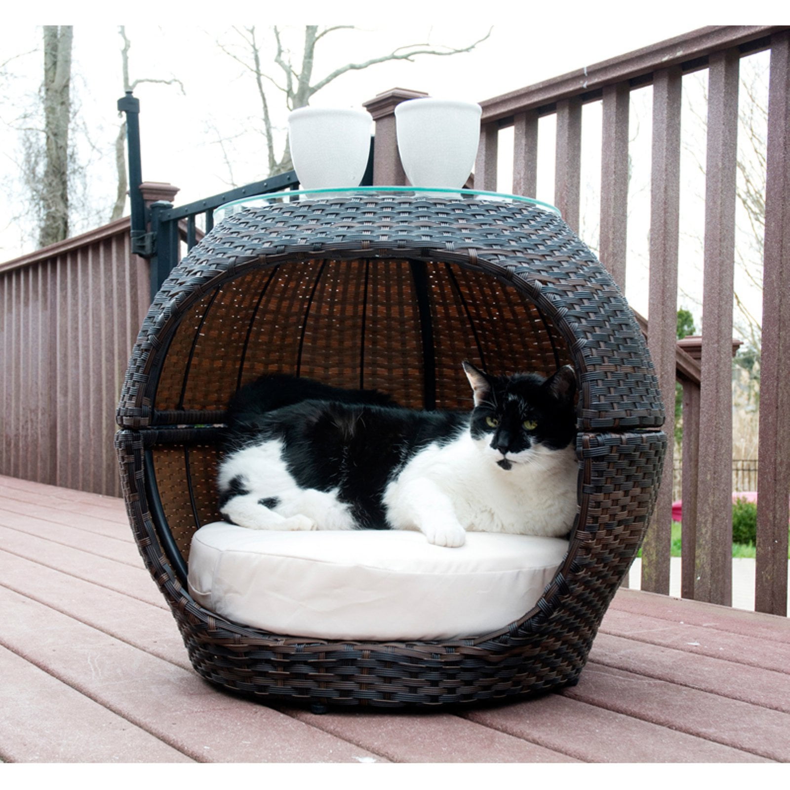 Iconic Pet Rattan Hide-Away Pet Bed - Indoor/Outdoor - Walmart.com