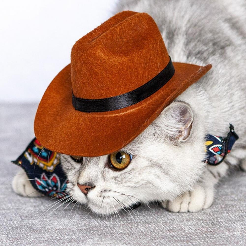 Cat Wearing Cowboy Hat