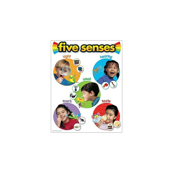 Five Senses Learning Chart 17x22 [T38051]