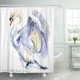 thumbnail image 1 of Cortina de Ducha ABPHQTO Acuarela Blanca Cisne 150x180 cm, 1 of 1