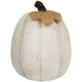 thumbnail image 2 of Northlight Knitted Fall Harvest Pumpkin Decoration - 6.25" - Beige, 2 of 7