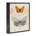 thumbnail image 3 of Stupell Industries Eclectic Vintage Butterfly Specimen Black Framed Giclee Art, 12 x 12, by Susan Arnot, 3 of 8