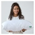 thumbnail image 3 of Avocado Organic Cotton Pillow, GOLS-Certified Organic Latex Fill, 233 Thread Count, King, 3 of 5