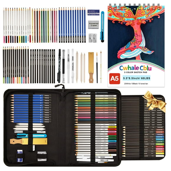 Ensemble de Dessin Artistique 77 Pcs - Kit Complet de Fournitures Artistiques avec Carnet de Croquis 3 Couleurs, Graphite, Charbon, Aquarelle et Crayons Métalliques - Parfait pour Filles, Garçons, Enfants, Adolescents et Débutants
