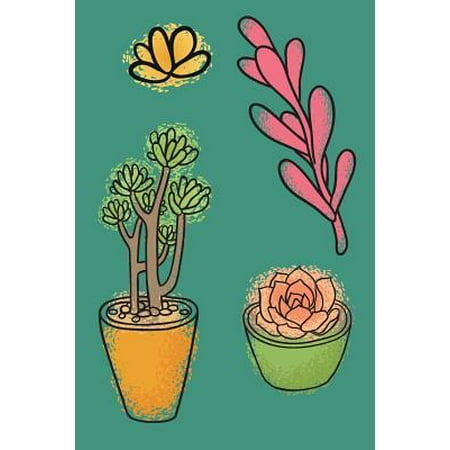 Succulents : Best Way to Store Passwords Offline Helpful Notebook Organizer for Remembering Username Pin and Login (Best Way To Store Artwork)