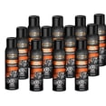 thumbnail image 1 of Emzone Shampoing pour Moteur, 15,7 Onces (Lot de 12), 1 of 1