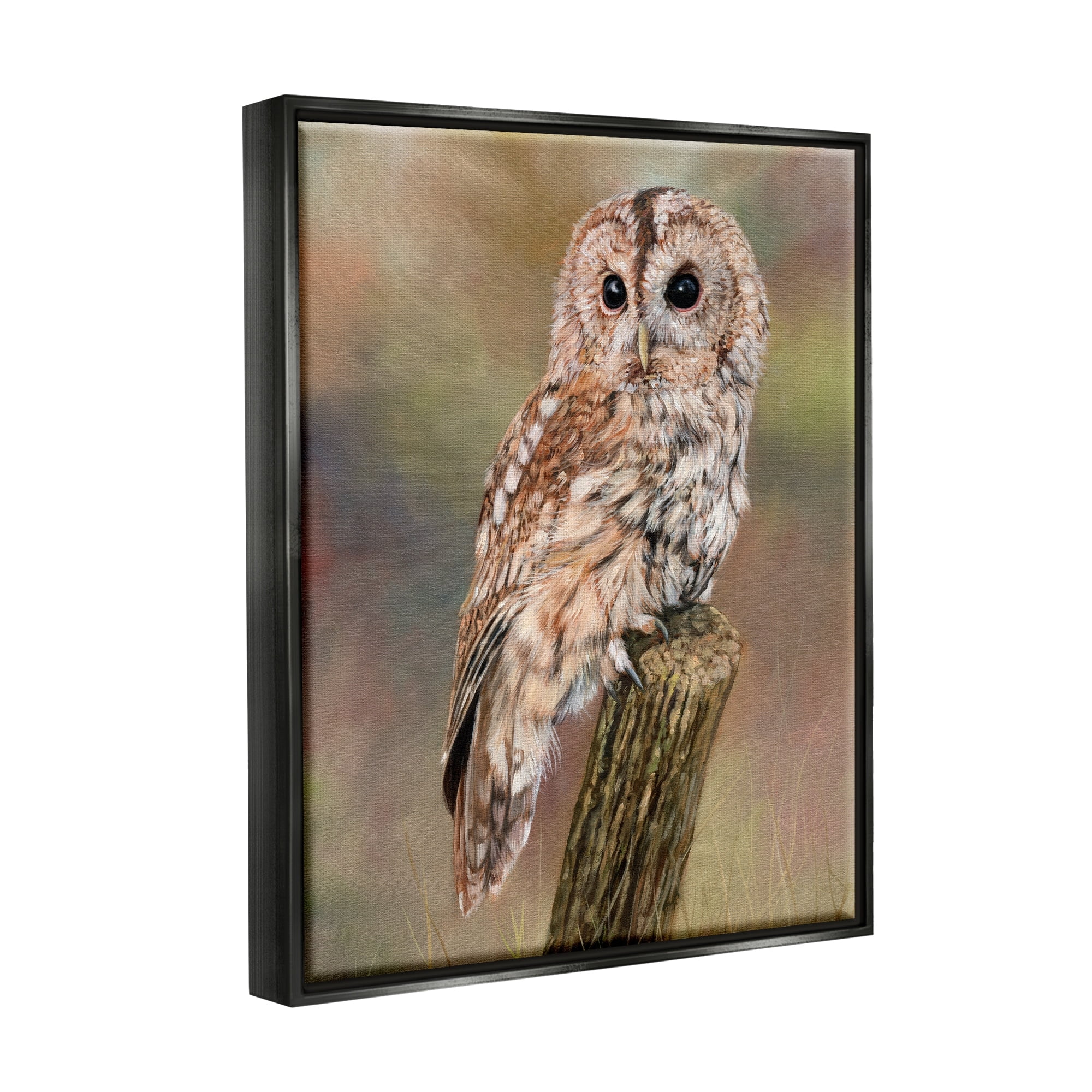 Stupell Industries Brown Tawny Owl Perched Intricate Woodland Wildlife Painting Painting Jet Black Floating Framed Canvas Print Wall Art, Design by David Stribbling
