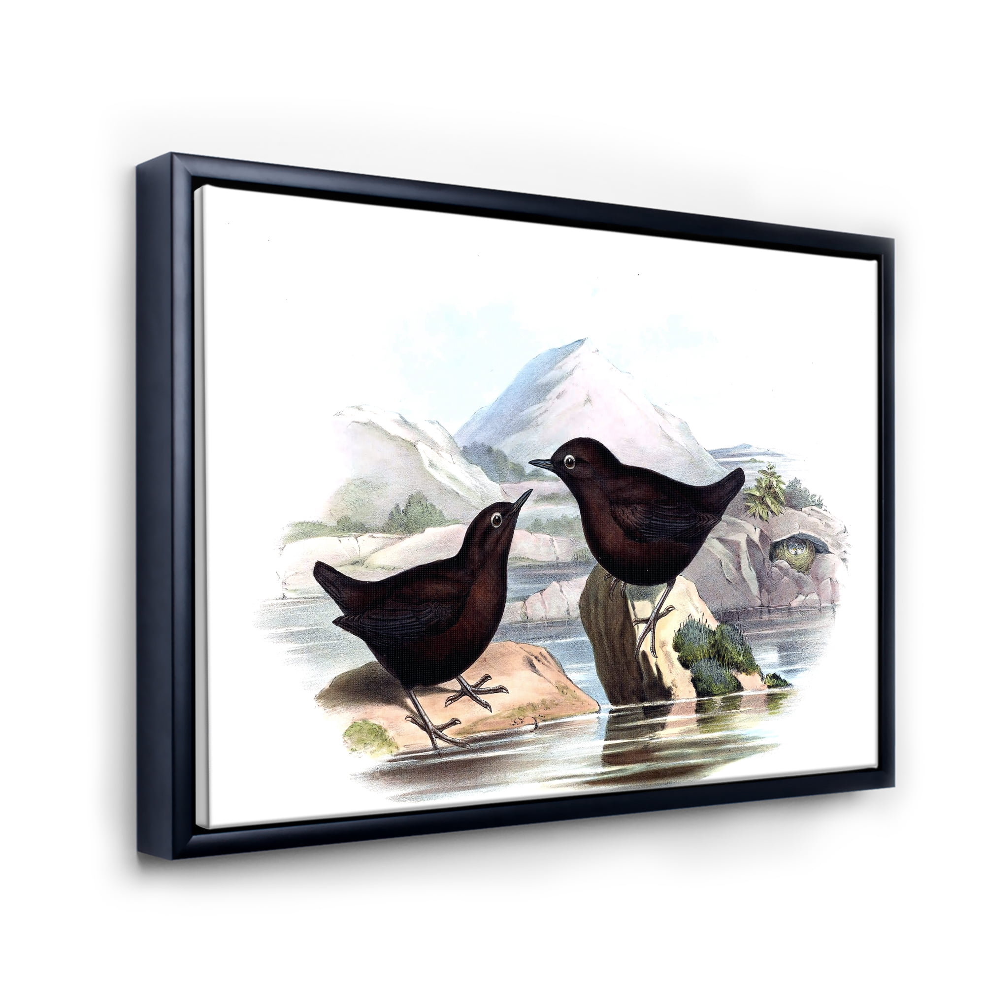 Designart 'Vintage Countryside Two Birds' Farmhouse Framed Canvas Wall Art Print