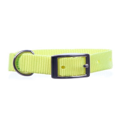 neon yellow dog collar