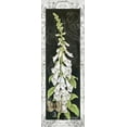 thumbnail image 2 of Babbitt, Gwendolyn 11x24 Gold Ornate Wood Framed with Double Matting Museum Art Print Titled - Foxglove, 2 of 4