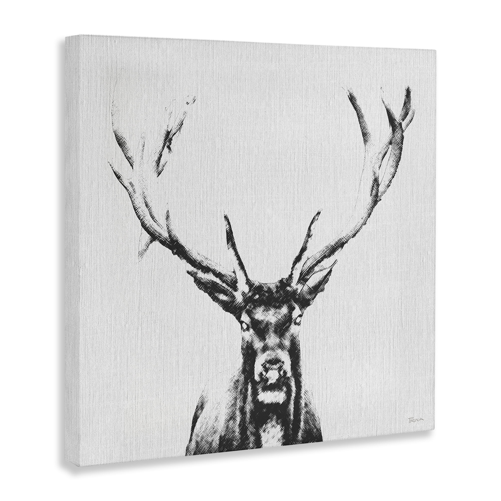 Stupell Industries Stag Sketch in Grey Animals Painting Wrapped Canvas Art Print Wall Art, 24 x 24