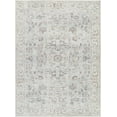 thumbnail image 4 of Olympic Traditional Area Rug - Gray, Light Blue, Cream - 18" x 18" Sample, 4 of 8