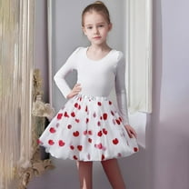 Toddler Girls Heart Print Mesh Ballet Tutu Skirt – Carnival Valentine’s Festive Skirts Dancing Performance Tutu Skirt for Ages 3-14