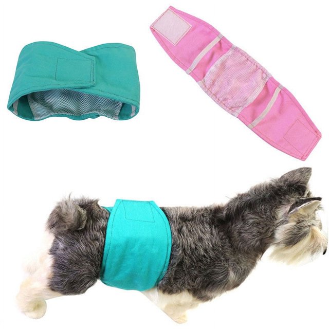 Pantalones sanitarios fisiológicos para lactancia, pañales para perros machos, 2 unidades
