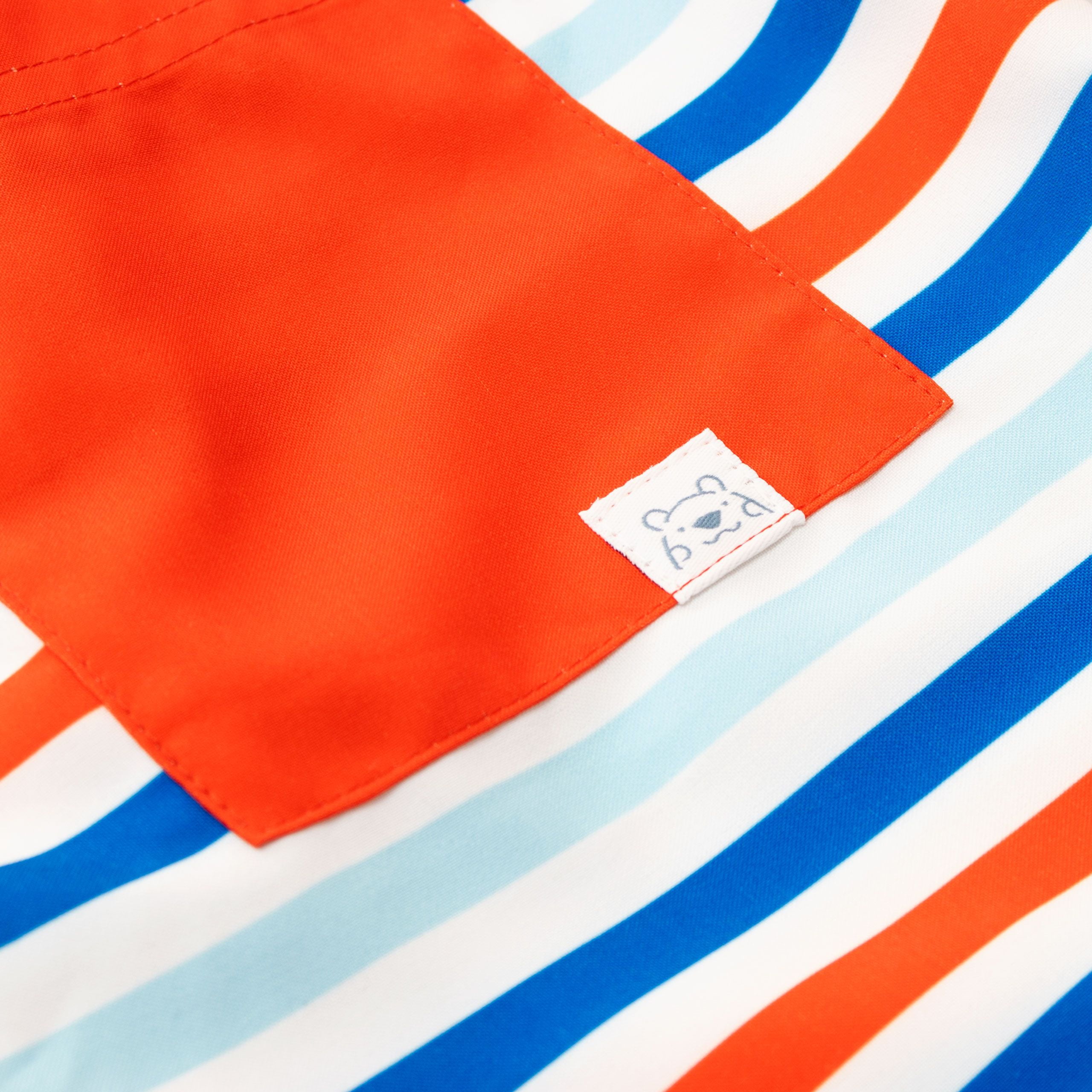 Harry Bear Boys Striped Pattern Swim Shorts Sizes 6-14