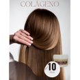 thumbnail image 2 of Colágeno Yeguada la Reserva caja con 10 piezas de 250 gramos. Yeguada La Reserva Kit, 2 of 3