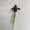 Red wine, variant on Artificial Iris Flowers Fake Silk Plant Home Wedding Decor Artificial Flower