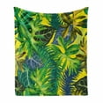 thumbnail image 1 of Plant Soft Flannel Fleece Blanket, Botany Themed Drawing Depicting Exotic Leaves in Tropical Environment Hawaiian Vibes, Cozy Plush for Indoor and Outdoor Use, 50" x 60", Multicolor, by Ambesonne, 1 of 6