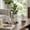 White, variant on Contemporary Resin Elephant Objects for Home Accent - Ornaments for Bathroom, Office, Room and Living Room Display - Sculptureal Figurine for Shelf or Coffee Table Decor - Set of 3, 6", 6", 5", White
