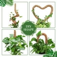 thumbnail image 3 of 2Pack Moss Pole, Bendable Moss Pole for Plants Monstera - 48 Inch Moss Poles for Climbing Plants Monstera, Plant Stakes for Indoor, Handmade Coco Coir Monstera Plant Support for Plants Grow Upward, 3 of 8