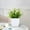 D, variant on Gosuguu Artificial Potted Plant with Flowers for Indoor Home Office Desk Decor